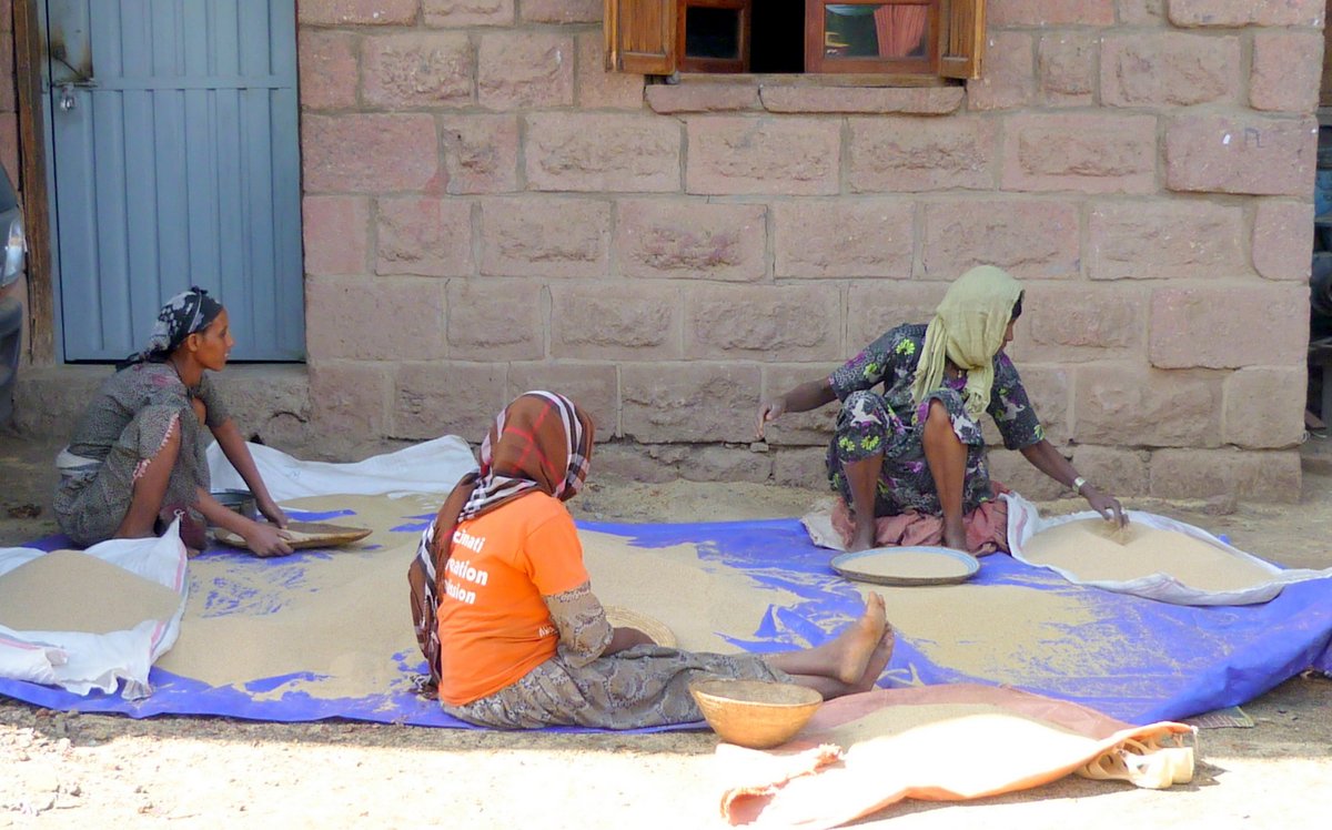 Femmes tamisant le teff à Lalibela